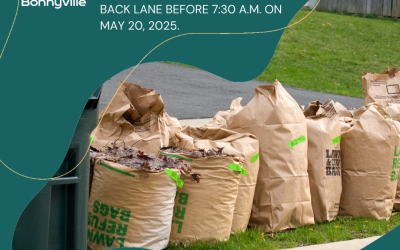 Spring Clean-Up 2025