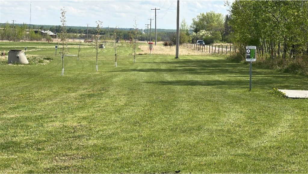 Disc Golf3